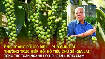 Tổng thể toàn ngành hồ tiêu sản lượng giảm