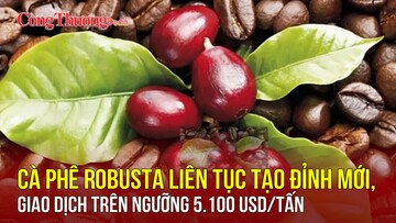 Cà phê robusta liên tục tạo đỉnh mới, giao dịch trên ngưỡng 5.100 USD/tấn