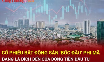 Cổ phiếu bất động sản 'bốc đầu' phi mã, điều gì đang xảy ra?