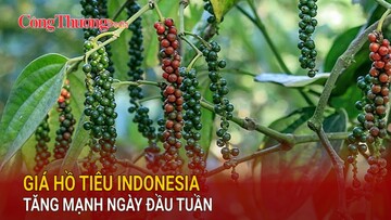 Giá hồ tiêu Indonesia tăng mạnh ngày đầu tuần