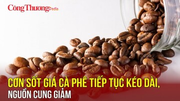 Cơn sốt giá cà phê tiếp tục kéo dài, nguồn cung giảm
