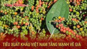 Tiêu xuất khẩu Việt Nam tăng mạnh về giá