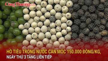 Hồ tiêu trong nước cán mốc 150.000 đồng/kg, ngày thứ 3 tăng liên tiếp