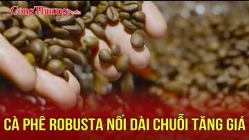 Cà phê Robusta nối dài chuỗi tăng giá