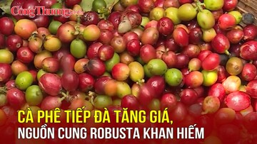 Cà phê tiếp đà tăng giá, nguồn cung Robusta khan hiếm