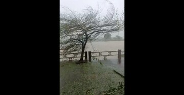 Siêu bão Yagi: Gió giật mạnh tại Thái Thuỵ, Thái Bình