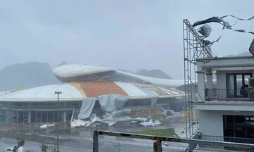 Cung Cá heo (Quảng Ninh) bị 