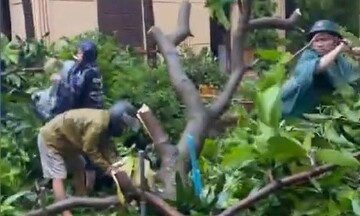 Hà Nội: Lực lượng chức năng quận Bắc Từ Liêm dọn dẹp cây đổ, khắc phục hậu quả giữa tâm bão