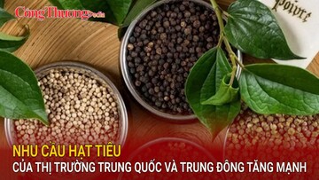 Nhu cầu hạt tiêu của thị trường Trung Quốc và Trung Đông tăng mạnh