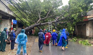 Hà Nội: Gần 3.000 cây xanh đổ, nhiều tuyến phố cây đổ như ngả rạ