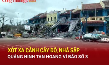 Xót xa cảnh cây đổ, nhà sập, Quảng Ninh tan hoang vì bão số 3