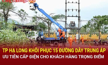 Thành phố Hạ Long: Khôi phục 15 đường dây trung áp, ưu tiên cấp điện cho khách hàng trọng điểm