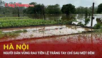 Hà Nội: Người dân vùng rau Tiền Lệ trắng tay chỉ sau một đêm