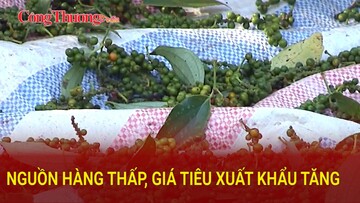 Nguồn hàng thấp, giá tiêu xuất khẩu tăng