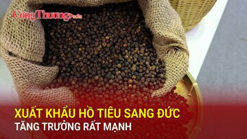 Xuất khẩu hồ tiêu sang Đức tăng trưởng rất mạnh