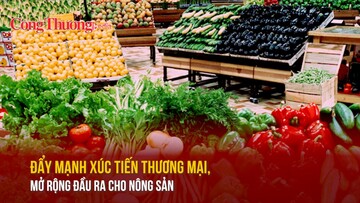 Đẩy mạnh xúc tiến thương mại, mở rộng đầu ra cho nông sản