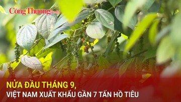 Nửa đầu tháng 9, Việt Nam xuất khẩu gần 7 tấn hồ tiêu