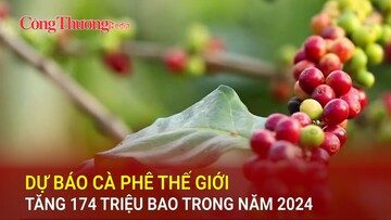 Dự báo cà phê thế giới tăng 174 triệu bao trong năm 2024