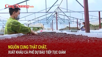 Nguồn cung thắt chặt, xuất khẩu cà phê dự báo tiếp tục giảm