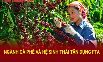 Ngành cà phê và hệ sinh thái tận dụng FTA