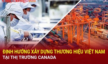 Định hướng xây dựng thương hiệu hàng Việt Nam tại thị trường Canada