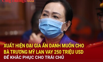 Xuất hiện đại gia ẩn danh muốn cho bà Trương Mỹ Lan vay mượn 250 triệu USD để khắc phục hậu quả