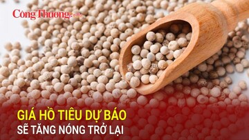Giá hồ tiêu dự báo sẽ tăng nóng trở lại