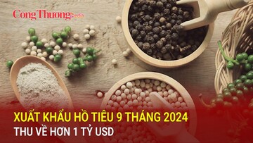 Xuất khẩu hồ tiêu 9 tháng 2024 thu về hơn 1 tỷ USD