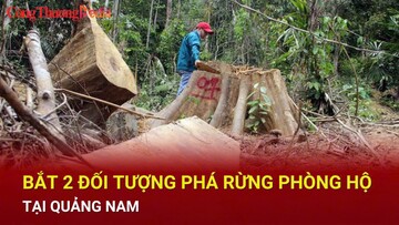 Bắt 2 đối tượng phá rừng phòng hộ tại Quảng Nam