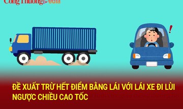 Lái xe đi lùi, ngược chiều cao tốc bị xử lý ra sao?