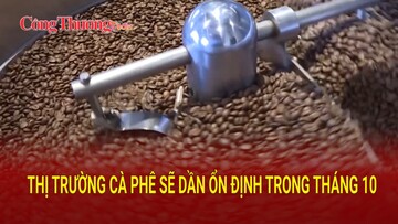 Thị trường cà phê sẽ dần ổn định trong tháng 10