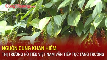 Nguồn cung khan hiếm, thị trường hồ tiêu Việt Nam vẫn tiếp tục tăng trưởng