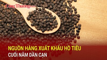 Nguồn hàng xuất khẩu hồ tiêu cuối năm dần cạn
