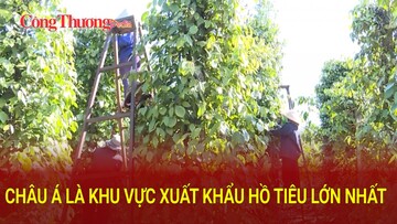 Châu Á là khu vực xuất khẩu hồ tiêu lớn nhất
