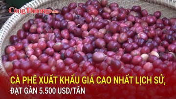 Cà phê xuất khẩu giá cao nhất lịch sử, đạt gần 5.500 USD/tấn