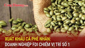 Xuất khẩu cà phê nhân: Doanh nghiệp FDI chiếm vị trí số 1