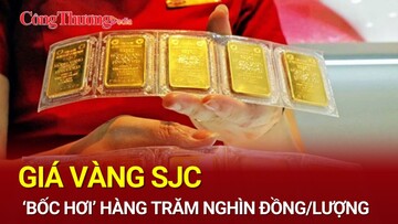 Thị trường vàng ngày 11/11/2024: Giá vàng SJC ‘bốc hơi’ hàng trăm nghìn đồng/lượng