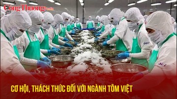 Cơ hội, thách thức đối với ngành tôm Việt