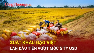 Xuất khẩu gạo Việt lần đầu tiên vượt mốc 5 tỷ USD