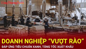 Doanh nghiệp ‘vượt rào’ đáp ứng tiêu chuẩn xanh, tăng tốc xuất khẩu
