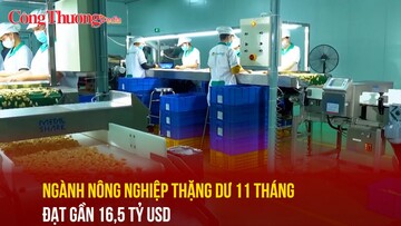 Ngành nông nghiệp thặng dư 11 tháng đạt gần 16,5 tỷ USD