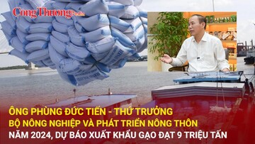Năm 2024, dự báo xuất khẩu gạo đạt 9 triệu tấn