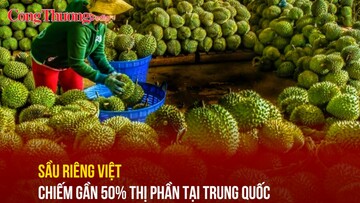 Sầu riêng Việt chiếm gần 50% thị phần tại Trung Quốc