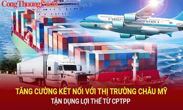 Tăng cường kết nối với thị trường châu Mỹ, tận dụng lợi thế từ CPTPP