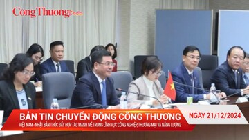 Việt Nam - Nhật Bản thúc đẩy hợp tác mạnh mẽ trong lĩnh vực công nghiệp, thương mại và năng lượng