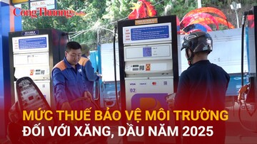 Mức thuế bảo vệ môi trường đối với xăng, dầu năm 2025