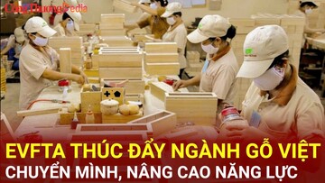 EVFTA thúc đẩy ngành gỗ Việt chuyển mình, nâng cao năng lực cạnh tranh