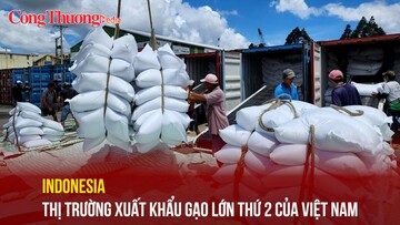 Indonesia: Thị trường xuất khẩu gạo lớn thứ 2 của Việt Nam