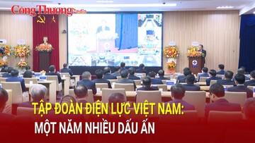 Tập đoàn Điện lực Việt Nam: Một năm nhiều dấu ấn