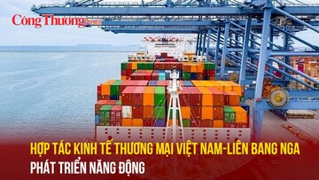 Hợp tác kinh tế thương mại Việt Nam-Liên bang Nga phát triển năng động